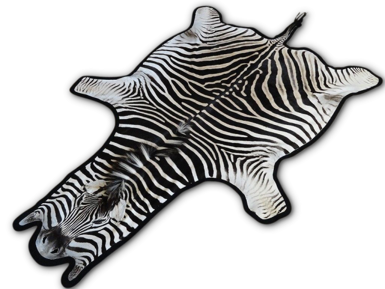 Zebra Skin Rugs Wildlife Etc LLC