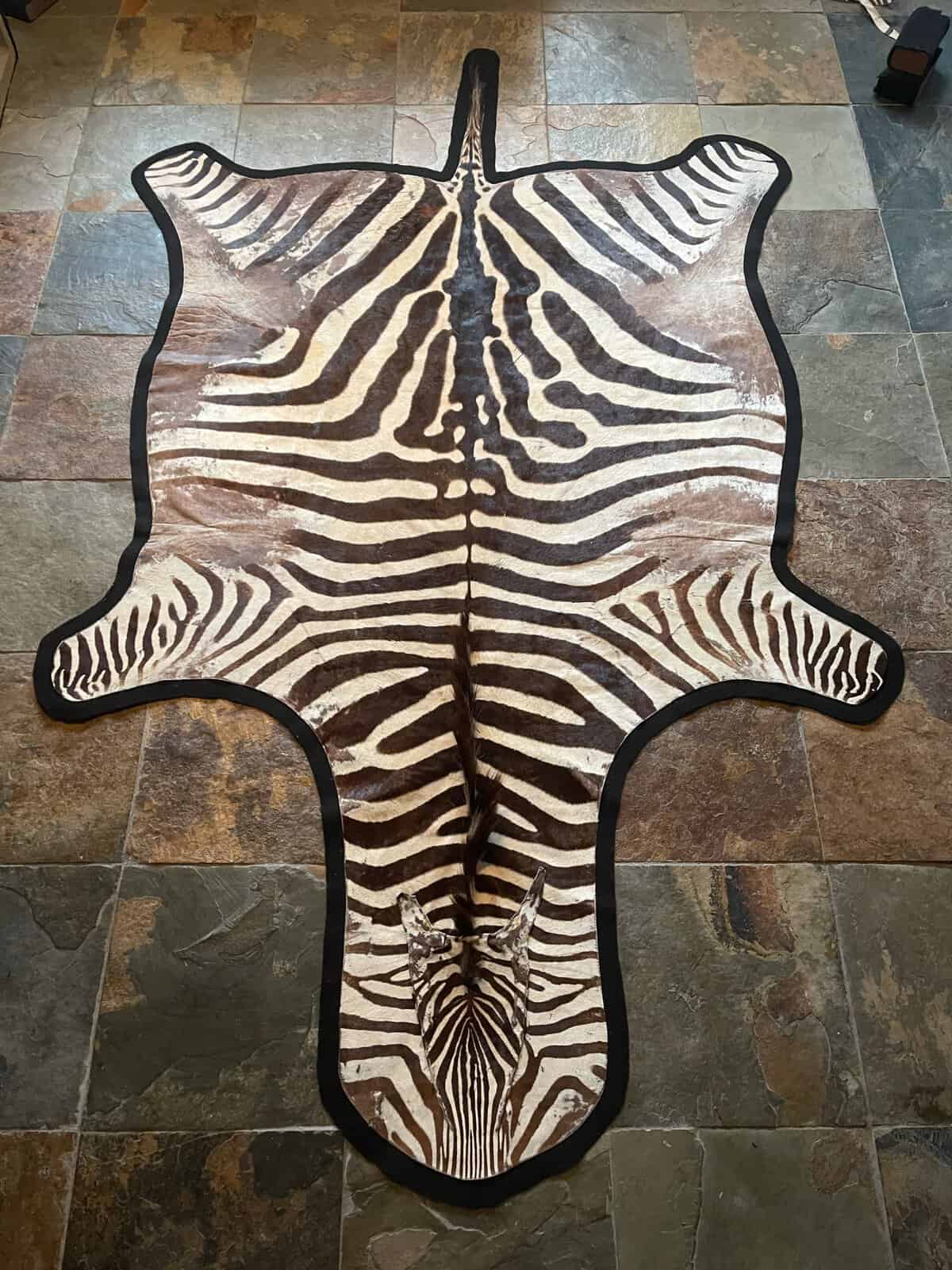 Zebra Skin Rugs & Vacuum Cleaners Wildlife Etc